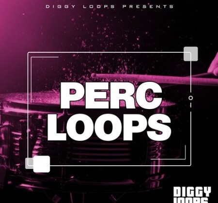 Big Citi Loops Perc Loops WAV